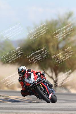 media/Oct-13-2025-Moto Forza (Mon) [[a66d839500]]/3-B Group/Session 4 Turn 4 Tree of Life/